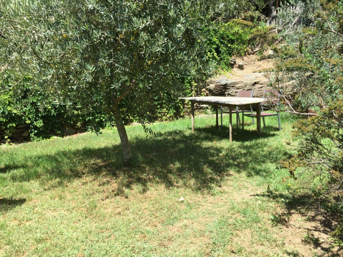Pietra-di-Verde Maison De Charme Corse Sauvage מראה חיצוני תמונה